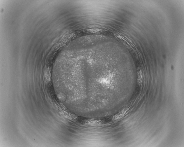 X0000086950606200705071445