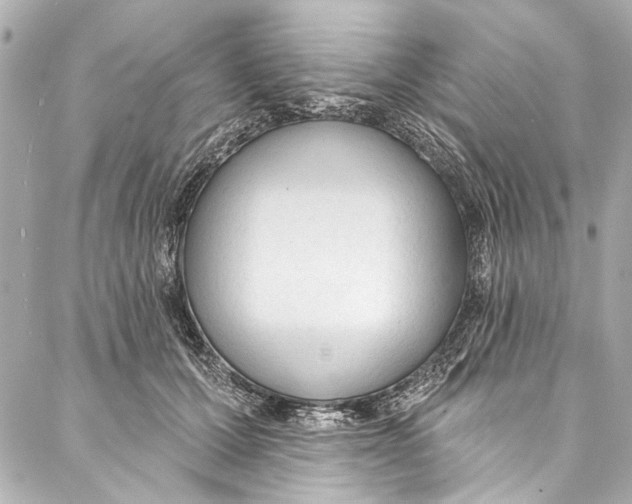 X0000086950607200705071445