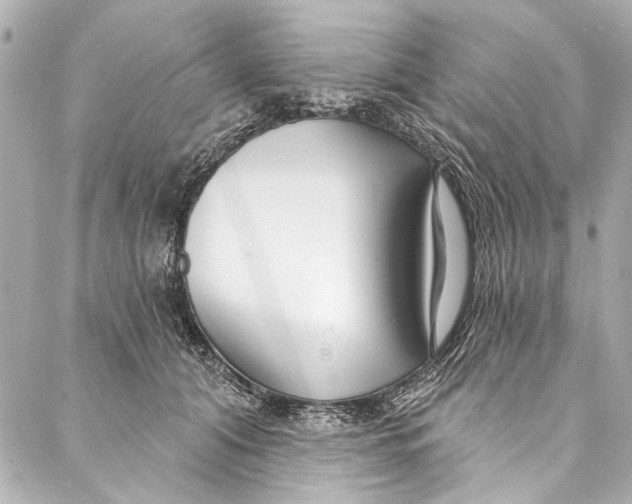 X0000086950608200705071445