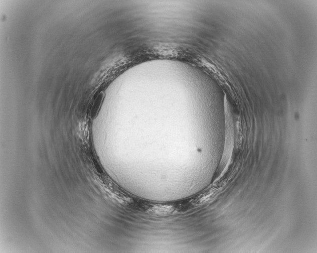 X0000086950609200705071445