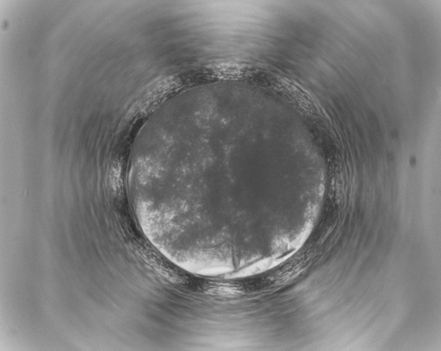 X0000086950610200705071445