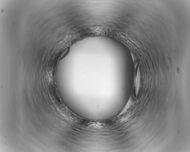 X0000086950611200705071445