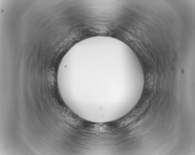 X0000086950612200705071445