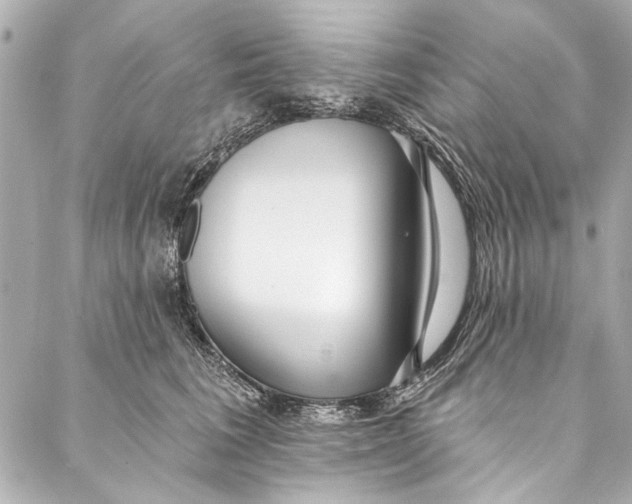 X0000086950613200705071445