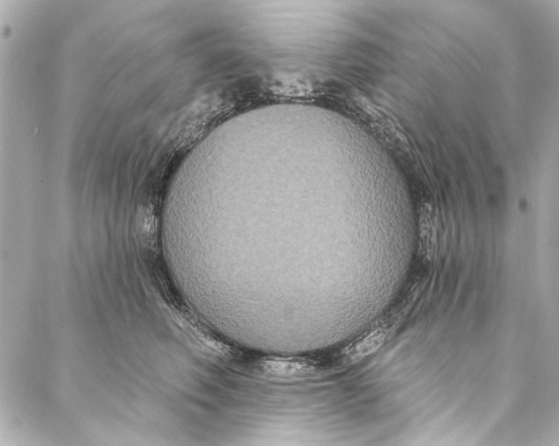 X0000086950614200705071445