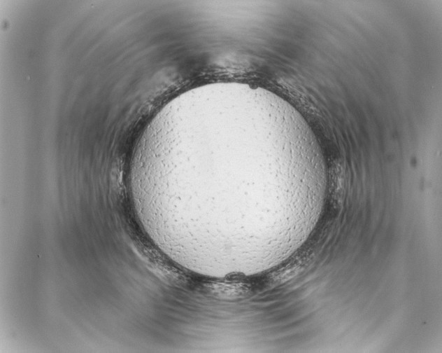 X0000086950615200705071445