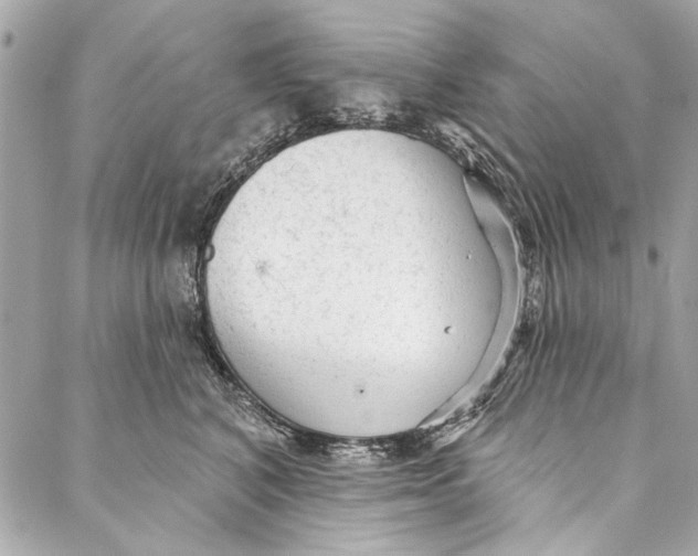 X0000086950616200705071445