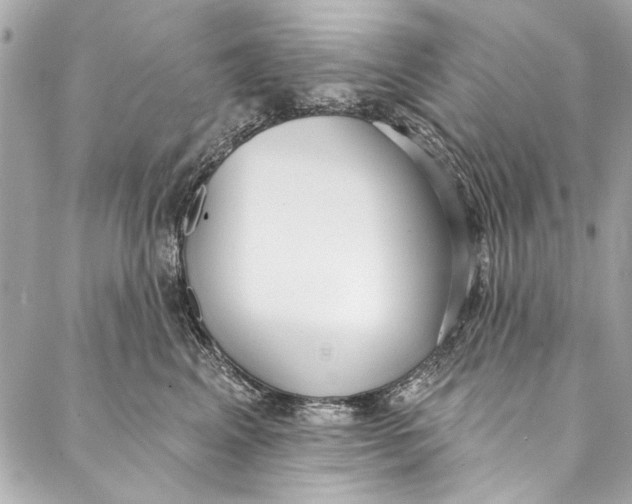 X0000086950617200705071445