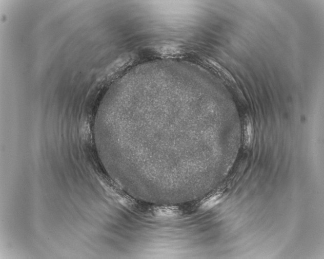 X0000086950618200705071445