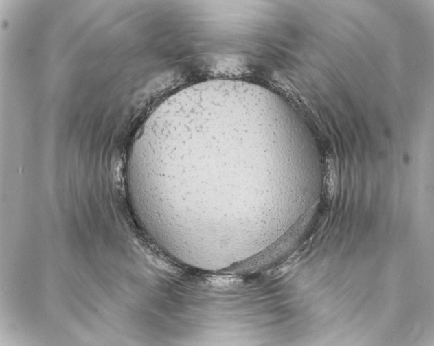 X0000086950619200705071445