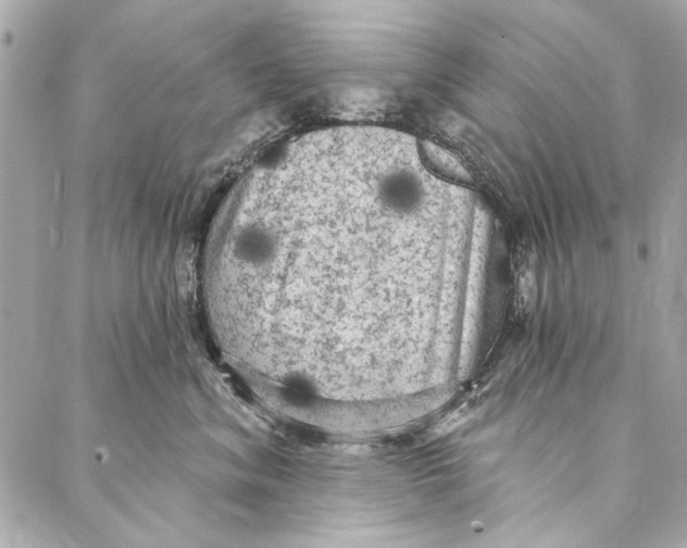 X0000086950620200705071445