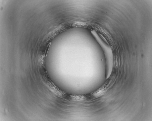 X0000086950621200705071445