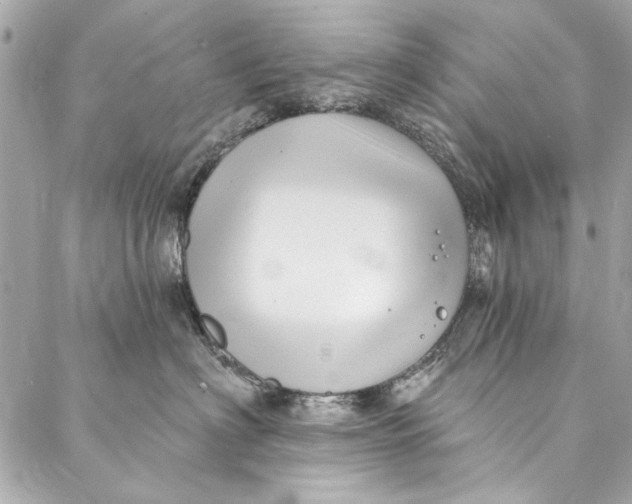 X0000086950622200705071444