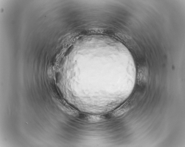 X0000086950623200705071444