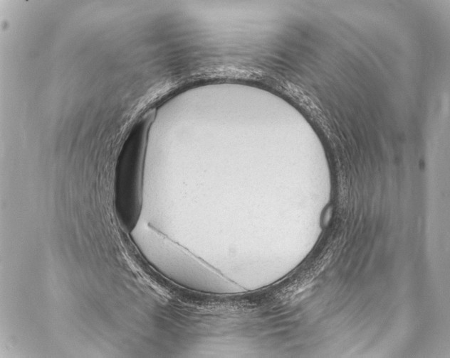 X0000086950625200705071444