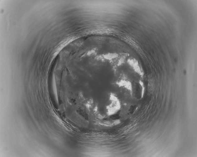 X0000086950626200705071444