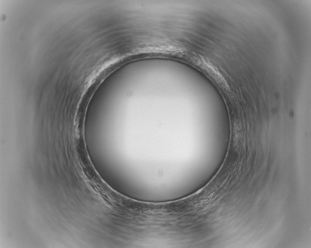 X0000086950628200705071444