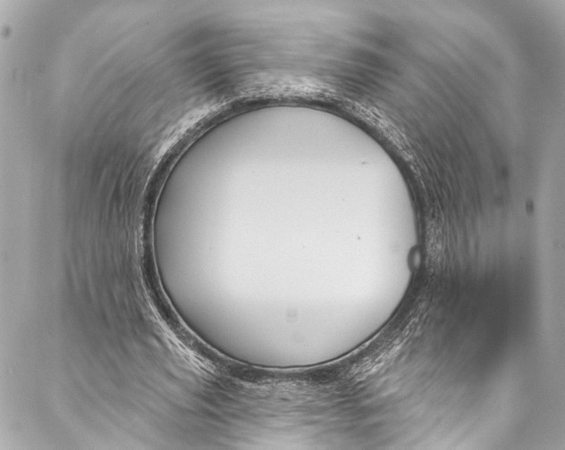 X0000086950629200705071444