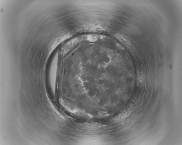 X0000086950630200705071444