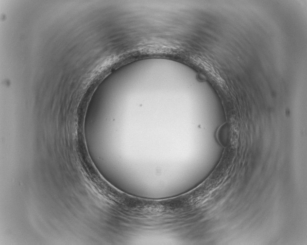 X0000086950631200705071444