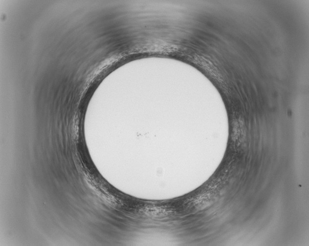 X0000086950632200705071444