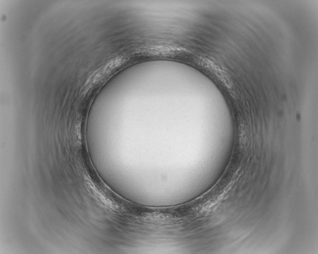 X0000086950633200705071444