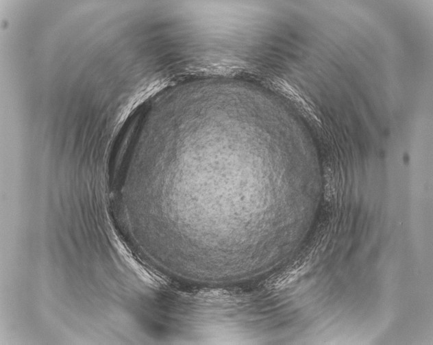 X0000086950634200705071444