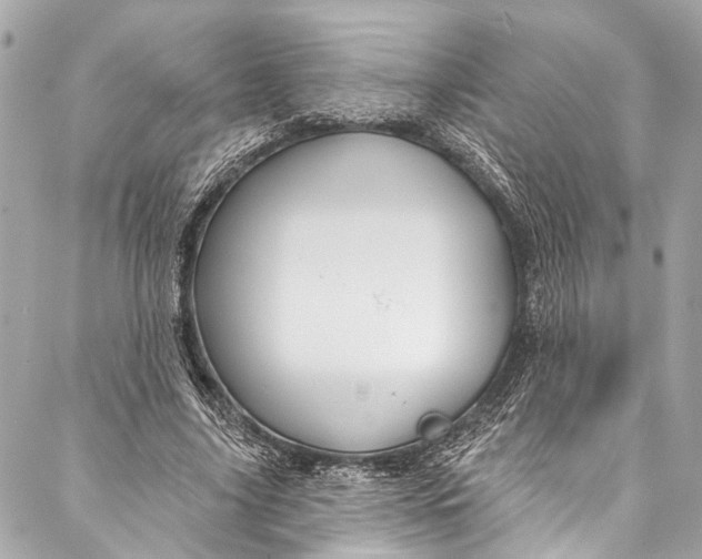 X0000086950635200705071444