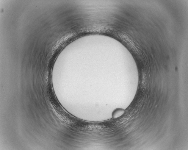 X0000086950636200705071444