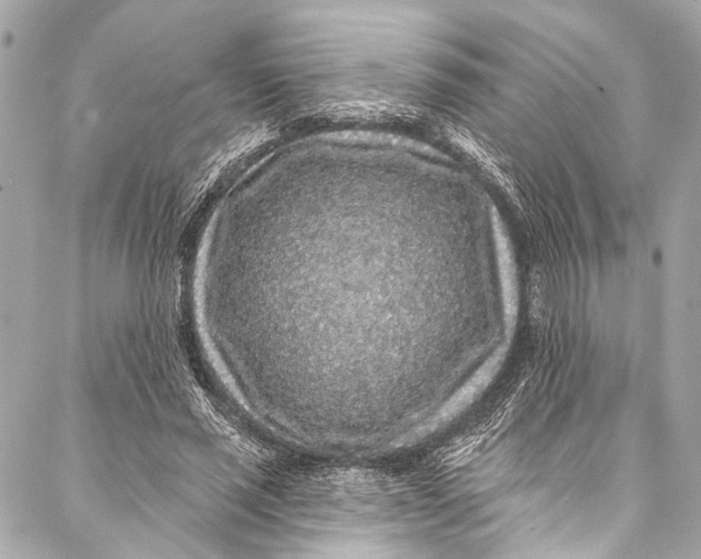 X0000086950637200705071444