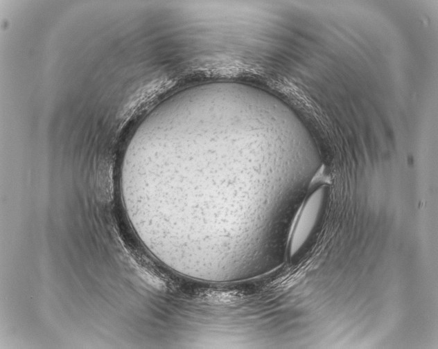 X0000086950638200705071444