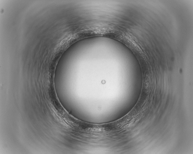 X0000086950639200705071444