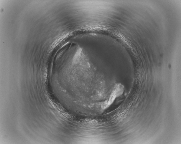 X0000086950640200705071444