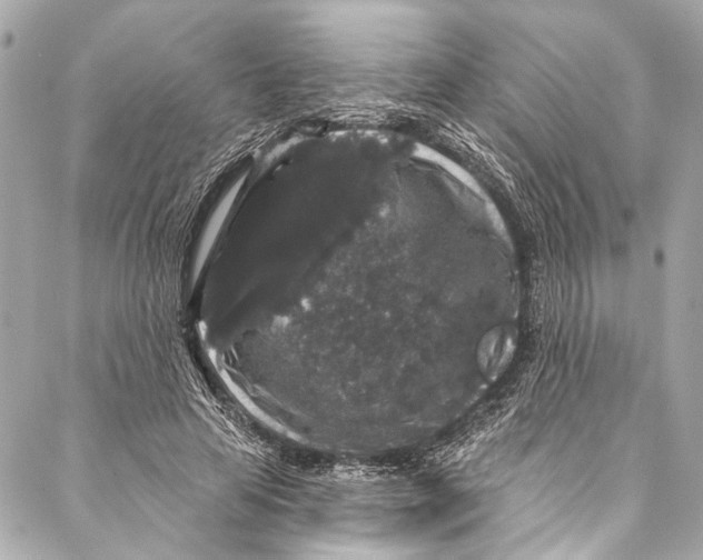 X0000086950641200705071444