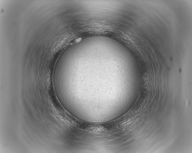 X0000086950642200705071444