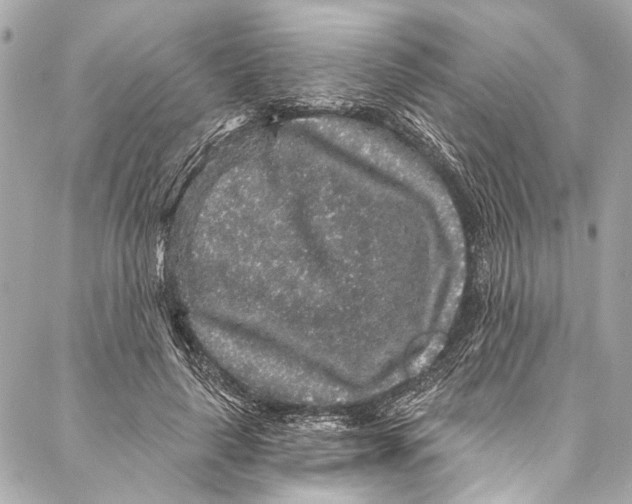 X0000086950643200705071444