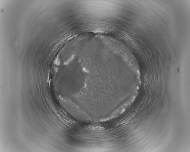 X0000086950644200705071444