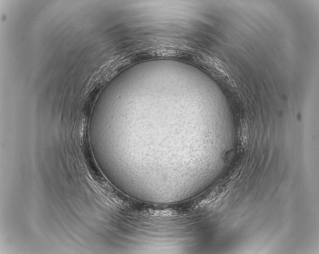 X0000086950645200705071444