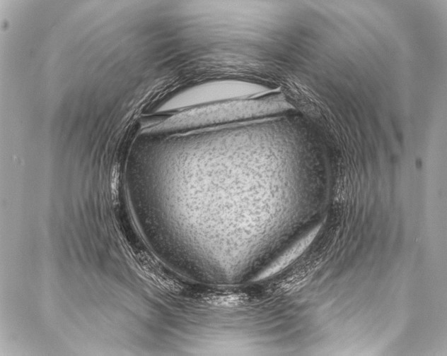 X0000086950646200705071444