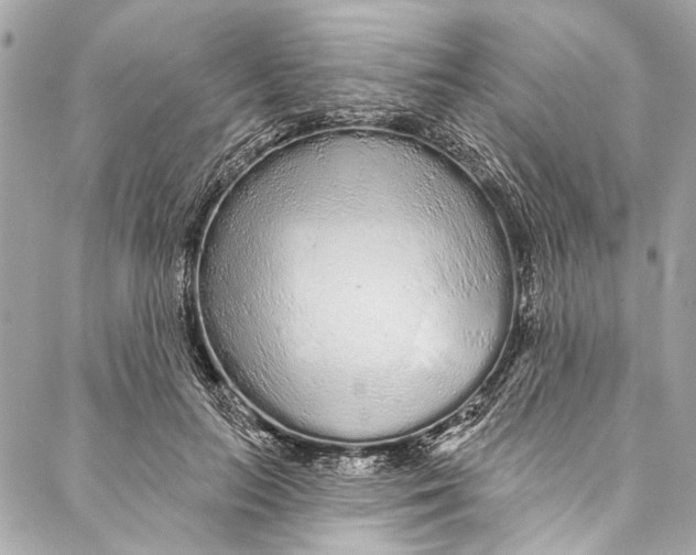 X0000086950647200705071444