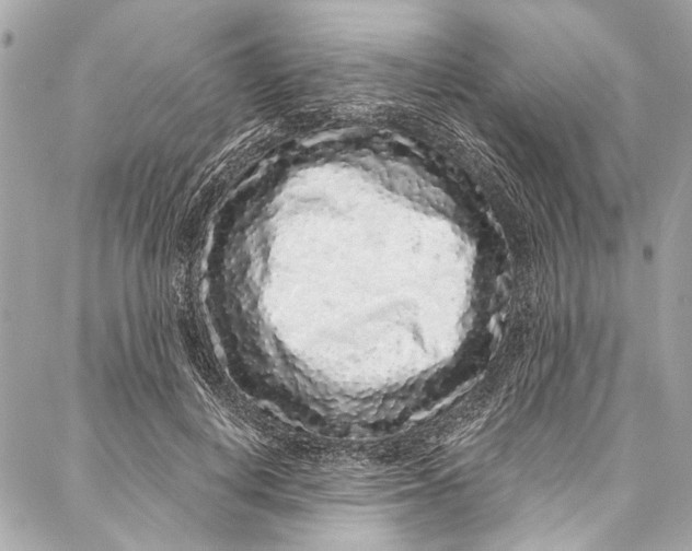 X0000086950648200705071444