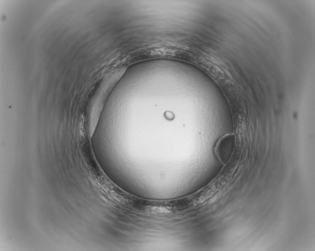 X0000086950649200705071444