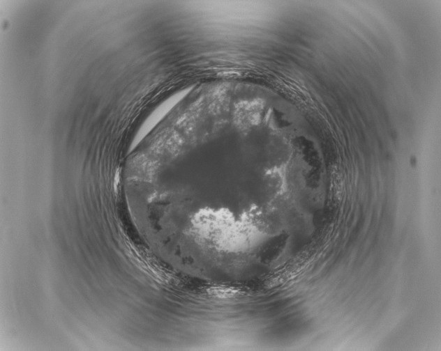 X0000086950650200705071444