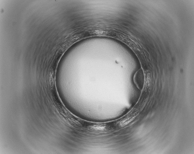 X0000086950651200705071444