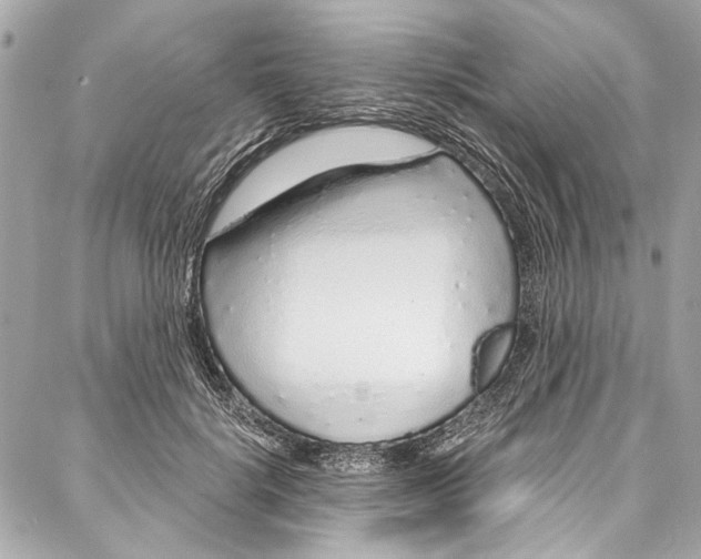 X0000086950652200705071444