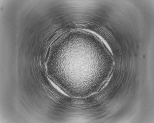 X0000086950653200705071444