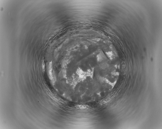 X0000086950654200705071444