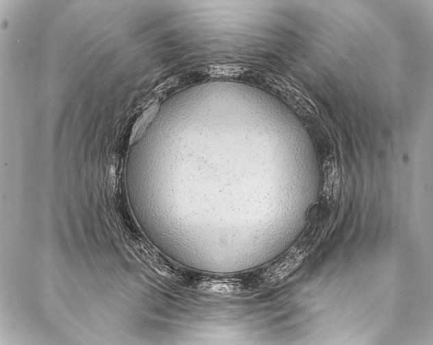 X0000086950655200705071444