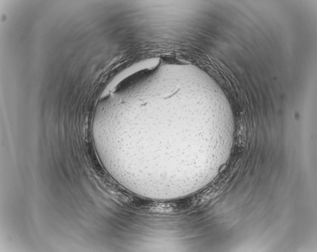 X0000086950656200705071444