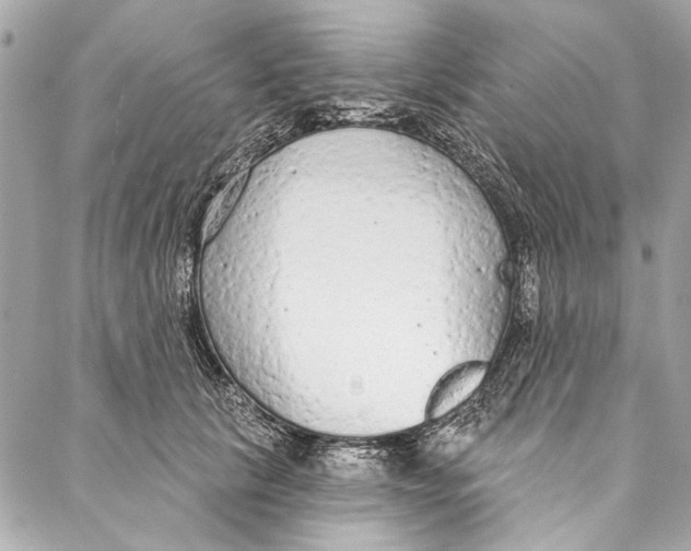 X0000086950657200705071444